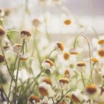 如何在捕鱼大作战游戏平台中提升你的捕鱼技巧 0lf566