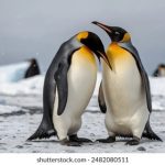 如何安全快速地下载乐虎国际官方网并注册账号 4t1mqur