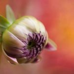 如何安全便捷地访问赢咖登录网址,获取最新资讯 8o1l1