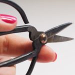 如何安全下载澳门赌钱app,提升你的游戏乐趣 caxa024